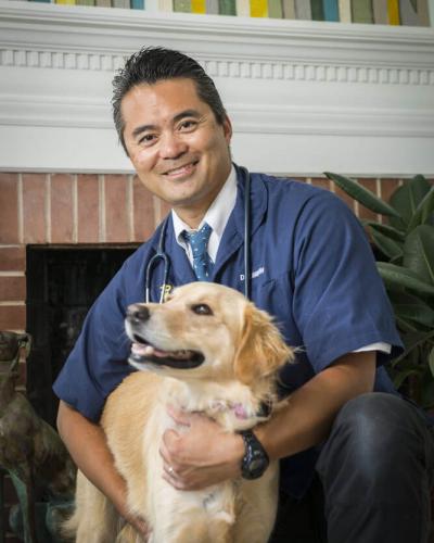 Holly Ridge Veterinary Hospital - Holly Ridge Veterinarians